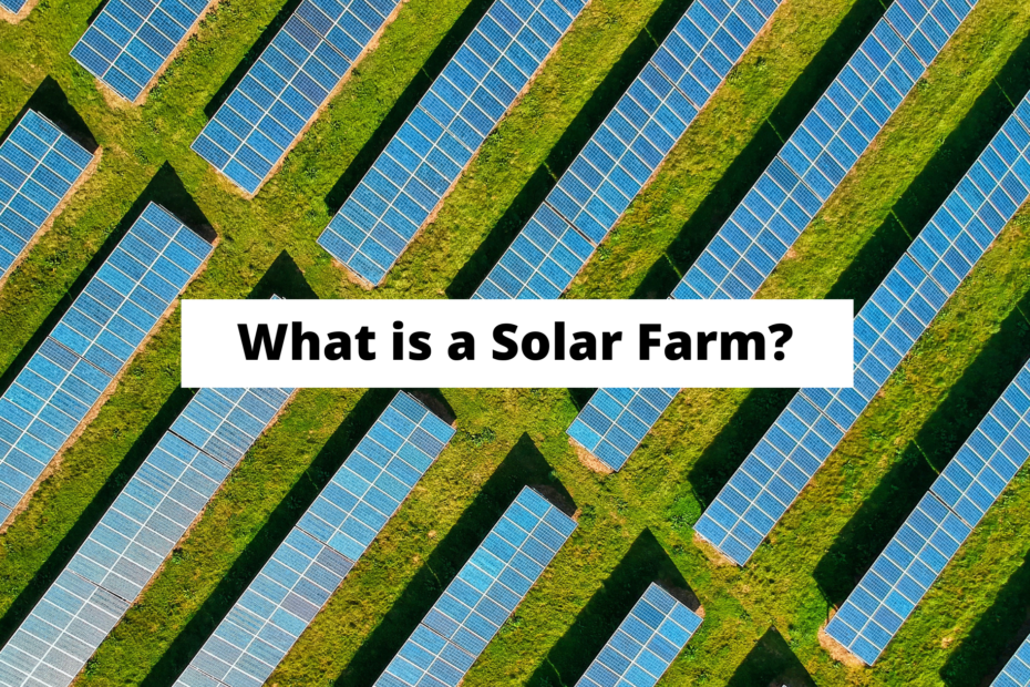 What is a Solar Farm and How Much Do They Cost?