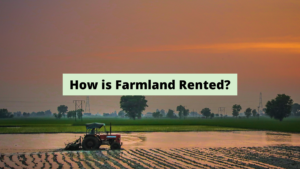 Is Farmland Rented by the Month or Year?